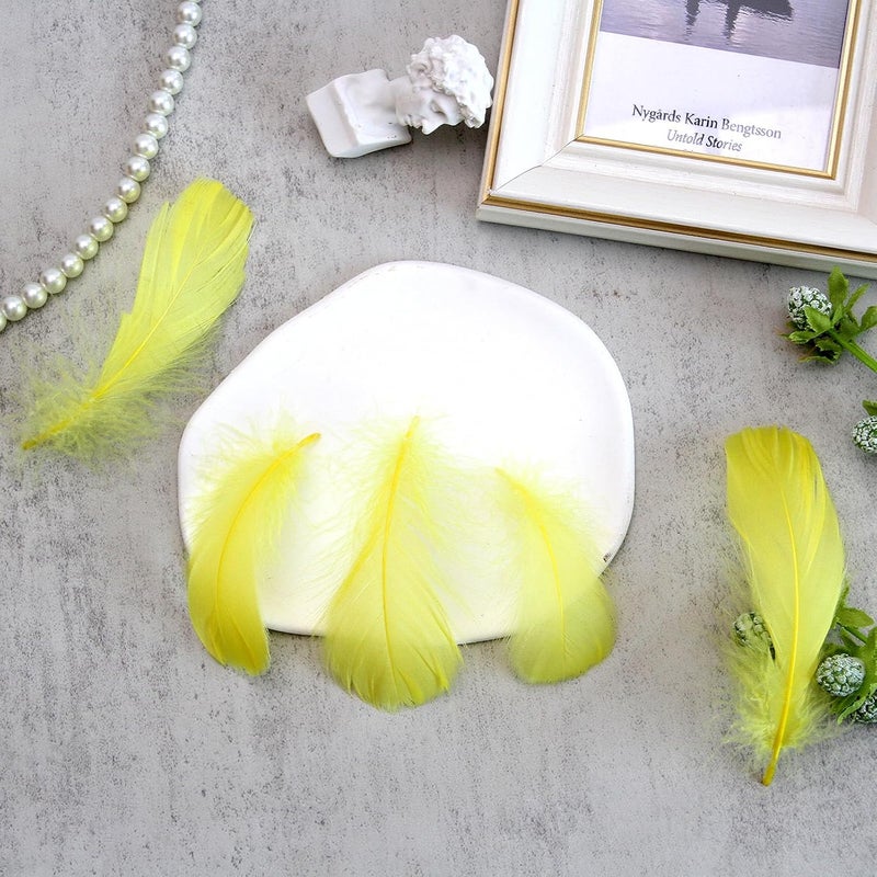Lamar Feather 300pcs Yellow Feathers 2-3 Inches Bulk Feathers for Crafting, Dream Catcher Accessories, Art Projects, DIY Crafting, Handi Crafts, Party Decoration (Yellow) - Image 5
